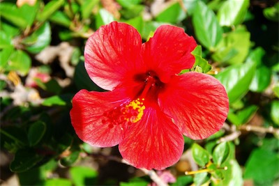 dsc_6880.jpg