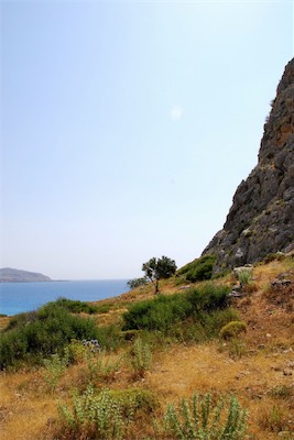 dsc_6601.jpg