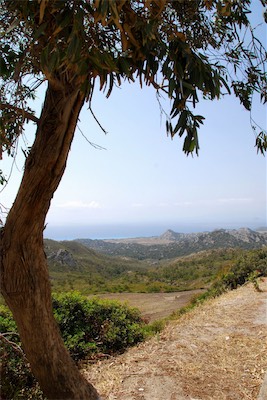 dsc_6716.jpg