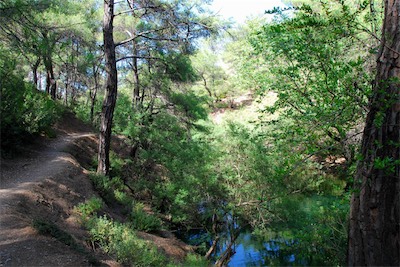 dsc_6852.jpg
