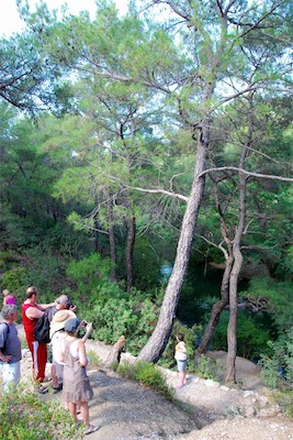 dsc_6860.jpg