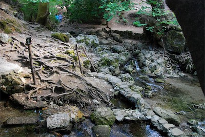 dsc_6862.jpg