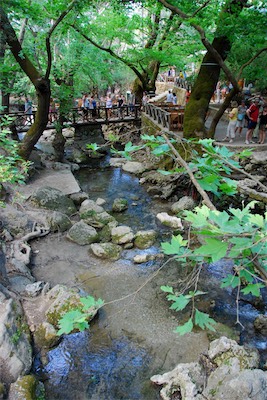 dsc_6866.jpg