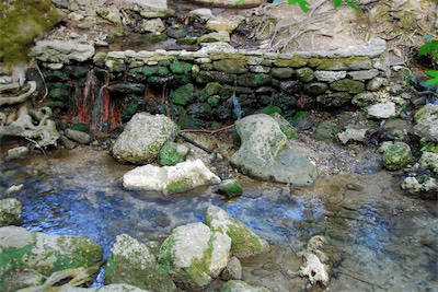 dsc_6867.jpg
