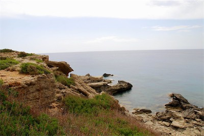 dsc_6901.jpg