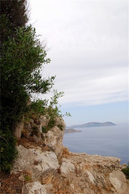 dsc_6910.jpg