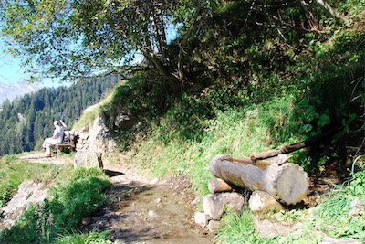 dsc_8549.jpg