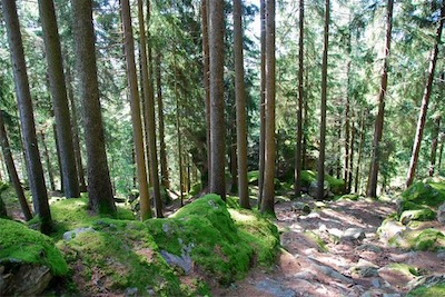 dsc_8556.jpg