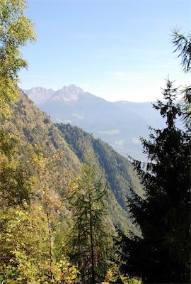 dsc_8562.jpg