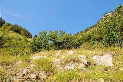 dsc_8568.jpg