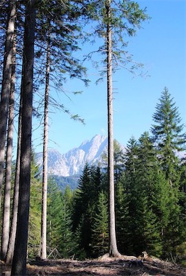 dsc_8590.jpg