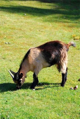 dsc_8595.jpg