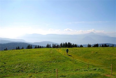 dsc_8605.jpg