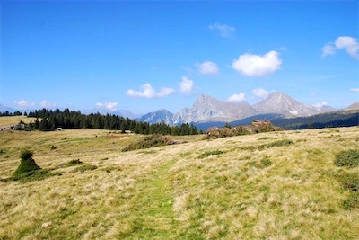 dsc_8621.jpg