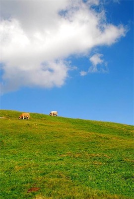 dsc_8630.jpg
