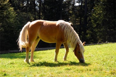 dsc_8633.jpg