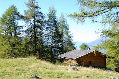dsc_8518.jpg