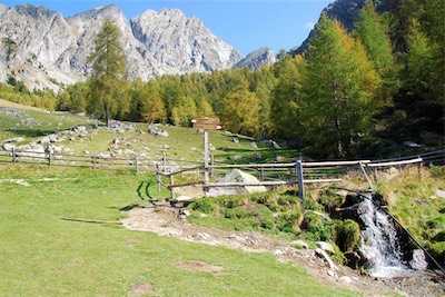 dsc_8532.jpg