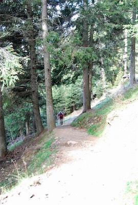 dsc_8371.jpg