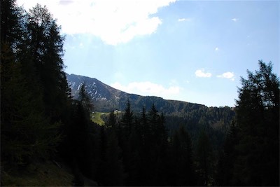 dsc_8373.jpg