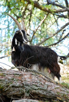 dsc_8380.jpg