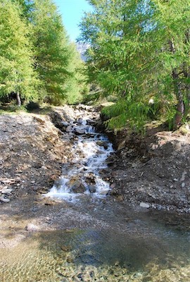dsc_8394.jpg