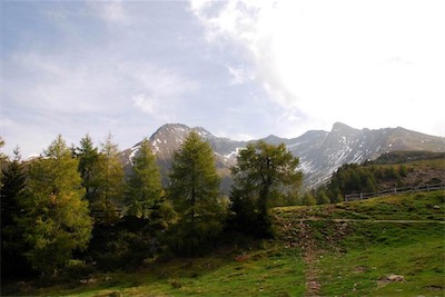 dsc_8331.jpg