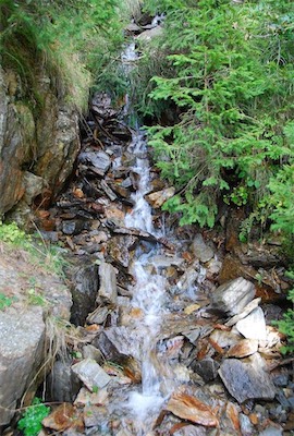 dsc_8343.jpg