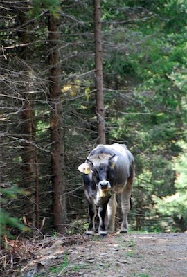 dsc_8346.jpg