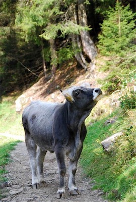 dsc_8348.jpg
