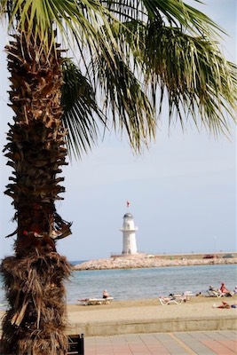 dsc_7954.jpg