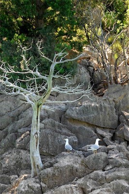 dsc_7734.jpg