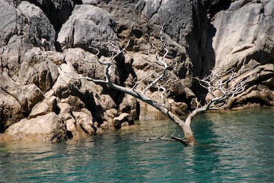 dsc_7743.jpg