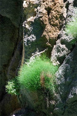 dsc_7758.jpg