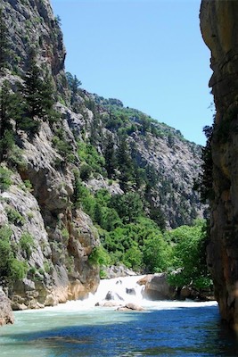 dsc_7767.jpg
