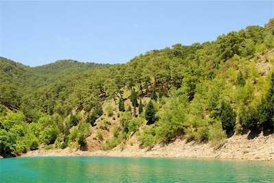 dsc_7792.jpg