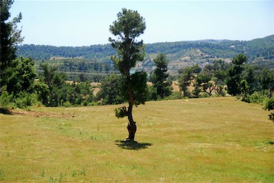 dsc_7816.jpg