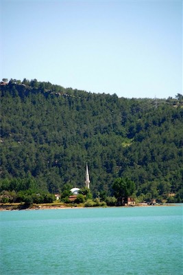 dsc_7828.jpg