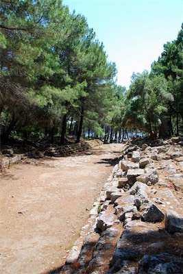 dsc_8052.jpg