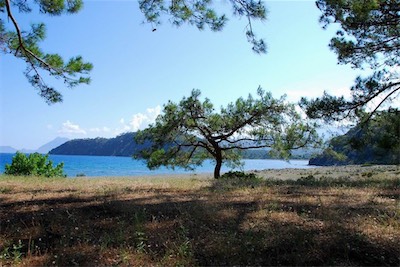 dsc_8102.jpg