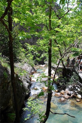 dsc_7899.jpg