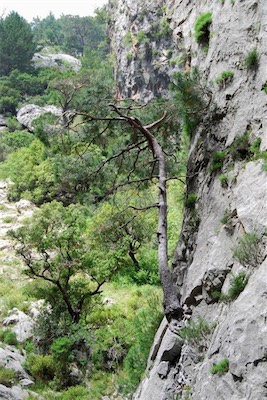 dsc_7902.jpg