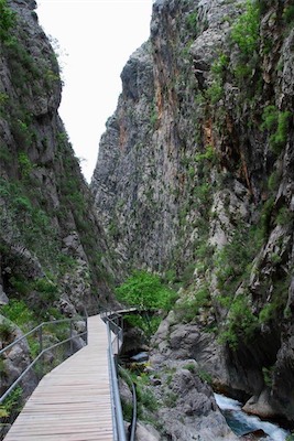 dsc_7904.jpg