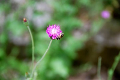 dsc_7914.jpg
