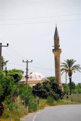 dsc_7932.jpg