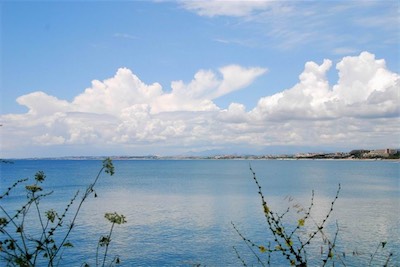 dsc_7966.jpg