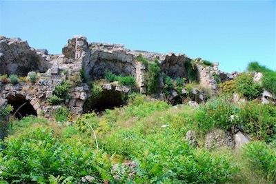 dsc_8005.jpg