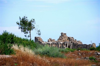 dsc_8010.jpg