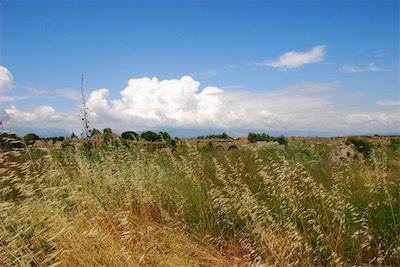dsc_8017.jpg