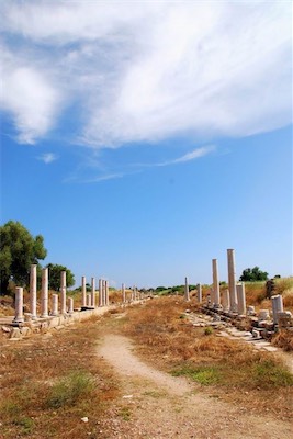 dsc_8024.jpg